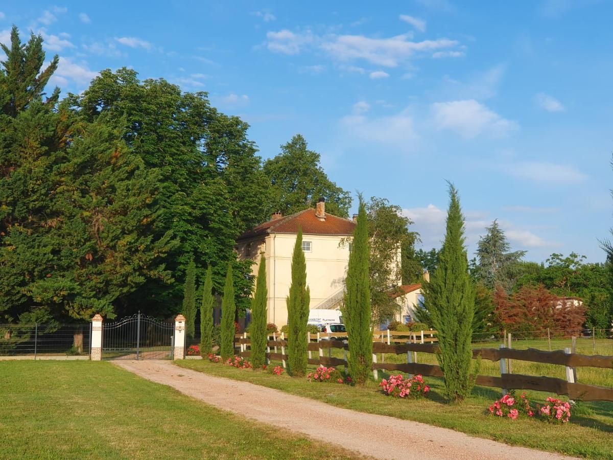 Domaine Christanna Bed & Breakfast Lisle-sur-Tarn Exterior photo