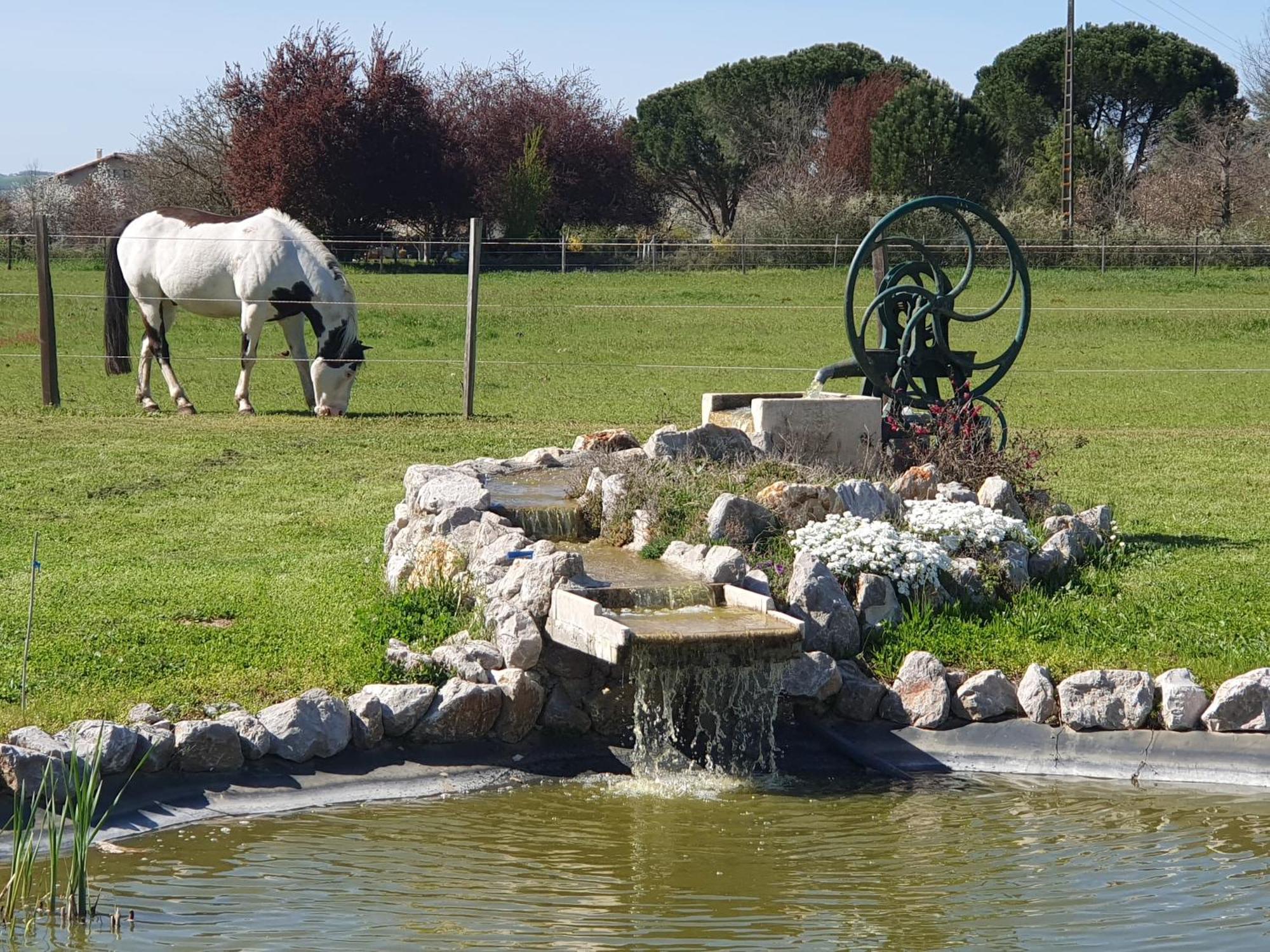 Domaine Christanna Bed & Breakfast Lisle-sur-Tarn Exterior photo