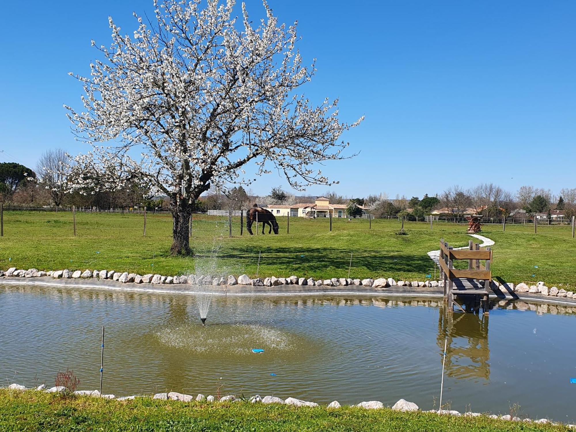 Domaine Christanna Bed & Breakfast Lisle-sur-Tarn Exterior photo